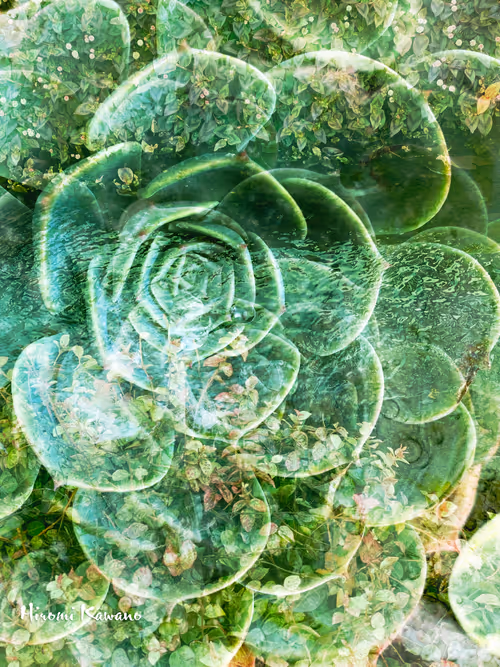 Item #85287633778568224854249724770997392266845098345306706215284281579485121216513 Media