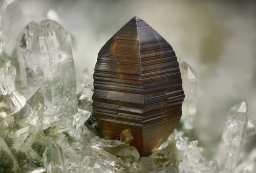 Item #76760594935064454251829113996962230117442052762635456780671601438861291421697 Media