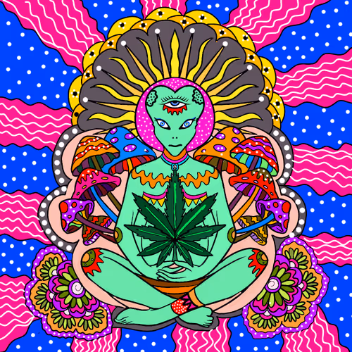 Item #25976622100250736765501590771198687859416851898474298945507118889037876690945 Media