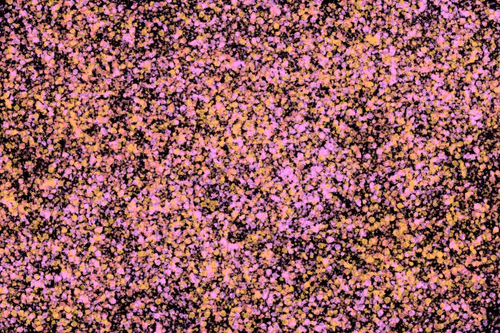 Item #944858660688572096584618472555991747686703840338442188877309680824849793025 Media