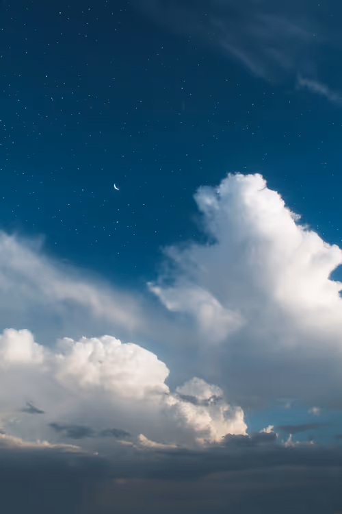 Item #9516099056367242152996622501750151802451978225621664057436231454454934667265 Media