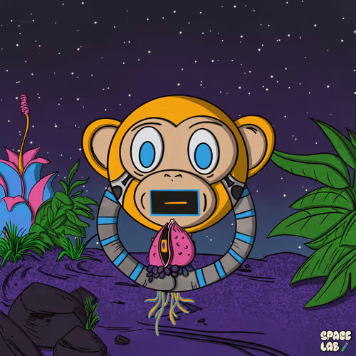 Space Lab Mission Editions