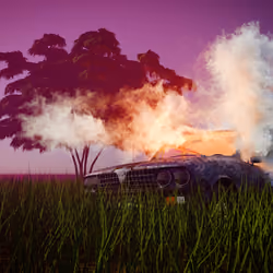 Hotbox Safari 