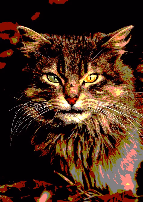 Item #23538819986925566434507765811444276093104658907602947149672917157989975064577 Media