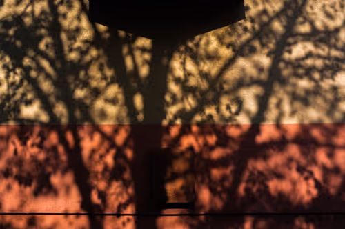 Item #88837150709499798352031986971363165703044907958800399059978422665548784467969 Media