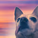 12580813302230721330037864750399358233829613506962932066109097436778611081221