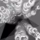 66927801933523237294479363725945893336219285473020127022665676326137004818433