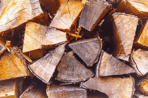 TCHemingway Collection