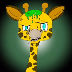 Confused grown-up giraffe