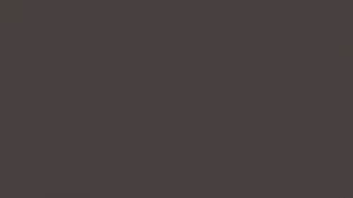 Item #63286489316362837262934672048351814730513494244334173611075142359741003464705 Media