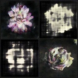 Vibrations 3