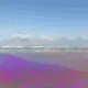adventures of glitch turtle by JakNFT