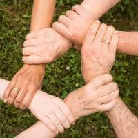 Item #100877552743190859447068690041590045184474887557867308196571676944761427592168 Media