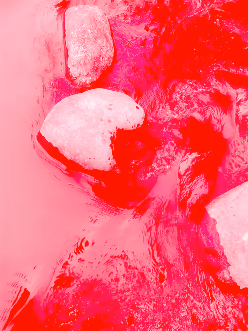 Item #98843954857266856101330559780238873570552098425130206222908041921997286932481 Media