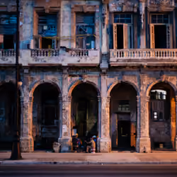 Havana Nights