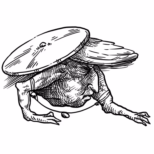 Item #57319268697671272436603797110060872632708398562227121989192562618408049311745 Media