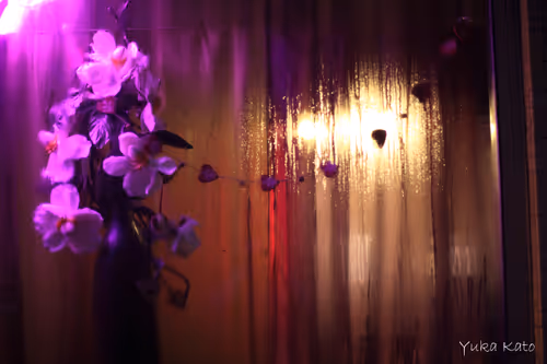 Item #111326101478107214990251795731047965840392207690526379209547236980687644917761 Media