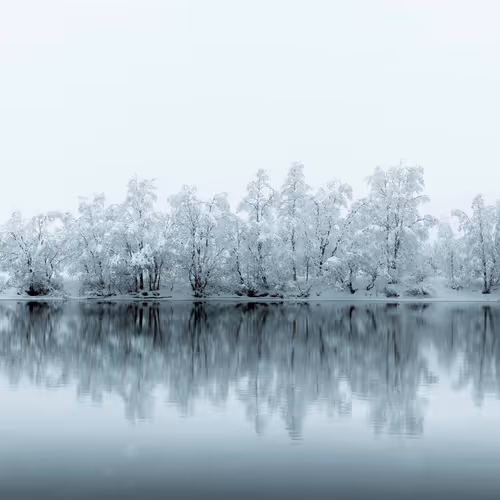 Frozensilence S3h2ODH2c6