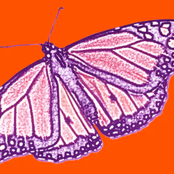 10162537437224382031479019658551907585229278444242708151782220024134185779201