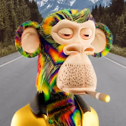 Monkey Biznezz 297/300