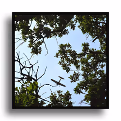 Plane #49