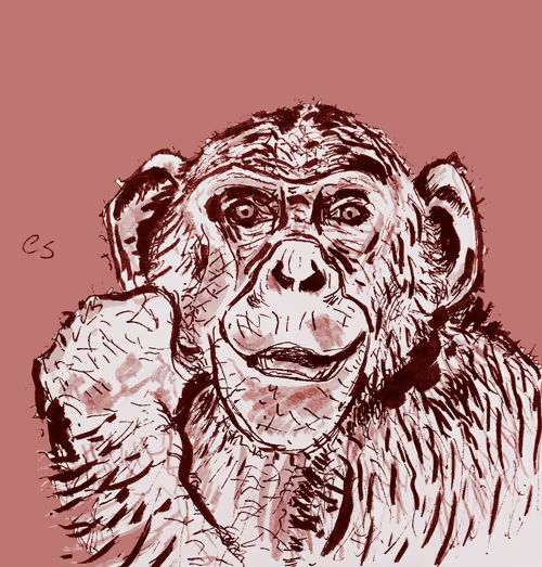 Item #39091703505809475788956350880894769302011138939225893693019847043175069777921 Media