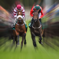 derbyracing ens pic