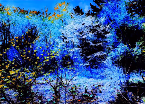 Item #53656058415869394314962841575876085778892851125174536728105346392691086196737 Media