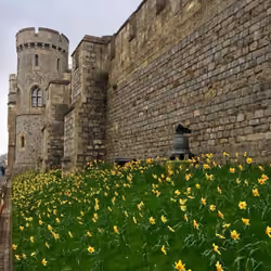Castle walls