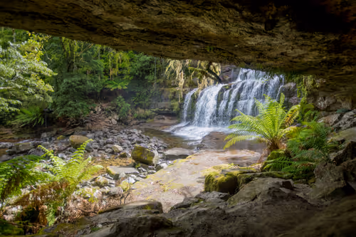 Item #11717075435639617062538583051799023982813876484308334407242089868989393010689 Media