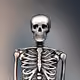 204202656455844469168548482701852941170351354666268361077763021440471269377