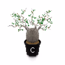 37099701154681292304364637748686122485148065028785244732374660146330452623361