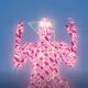 Celestial Vibration