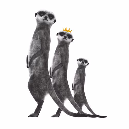 24618594739772325081071012251968077253983773594612099830659053260162522415107