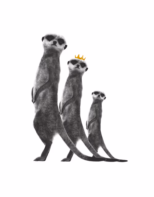 Item #24618594739772325081071012251968077253983773594612099830659053260162522415107 Media