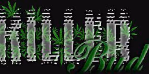 Killerbud Collection