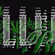 Killerbud Collection