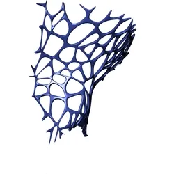 The Clinging Web