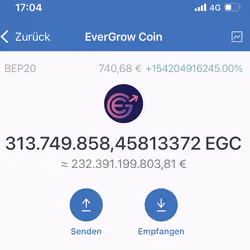 Crypto_Billionaire_EverGrow_Glitch_1