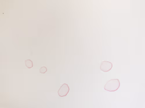 Item #44659341983174900277615426972380684672489201164834520372691987088719180988417 Media