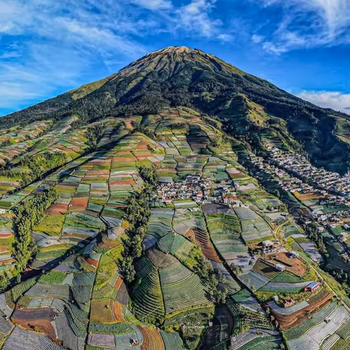 Untitled Collection #169821142