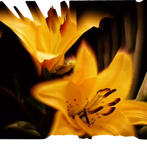 Flower Life
