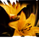 92276744122057853651718415639206344305867727436671265924030834442567541587969