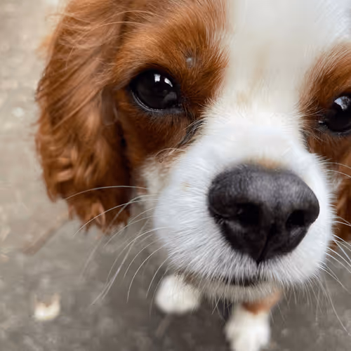 Untitled Collection #168940223