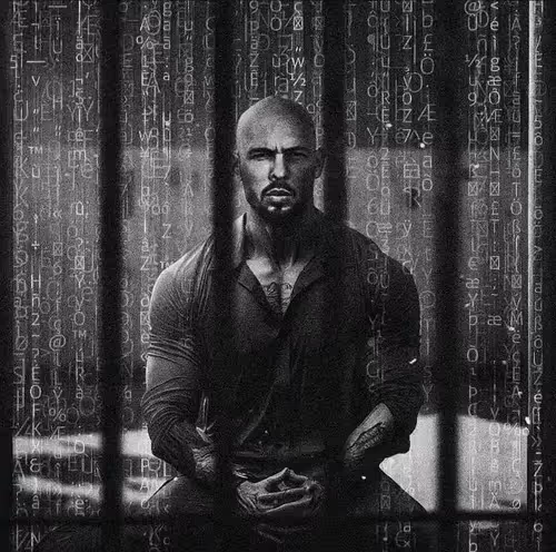 Item #34630423457593900507173894819459020323895466045902366628733957385510864289793 Media