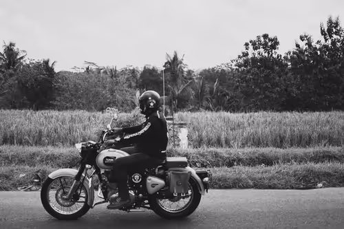 Item #95633765474931350240165697288740384276668175365753332134829565112426327703553 Media