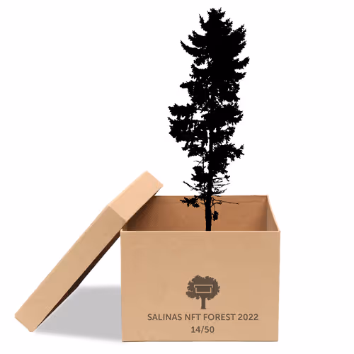 Item #63532776318757439562276927313719991273687356279339277108967620983820442927105 Media