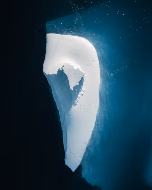 Item #59969087872528247593562305556961493003860374277083575615722774368623326658561 Media