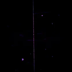 46025880712763272316592122038128663120854570524676624434522243442926193475585