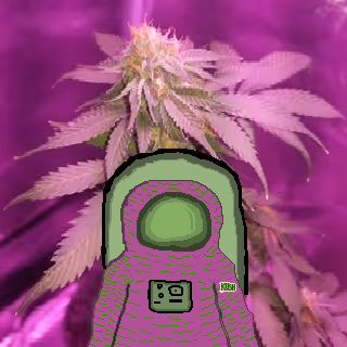Item #98075871027195160364646907287725425724489991387692321639162002851491607478273 Media